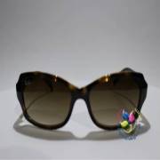 RayBan RB4183E 642/13 Güneş Gözlüğü