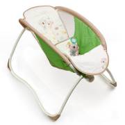 Bright Starts Anakucağı Beşik Playtime To Bedtime