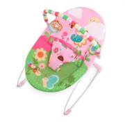 Bright Starts Anakucağı Sweet Bees & Buggies