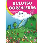 Bulutsu Görevlerim