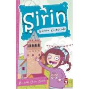 Şirin Galata Kulesin