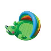 Vardem İntex 57416 Gölgelikli Kurbağa Çocuk Havuz