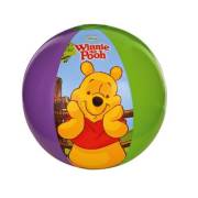 Vardem Winnie The Pooh Deniz Havuz Topu