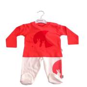 Pierre Cardin PC-622-0601-9 Ay Baskılı 2