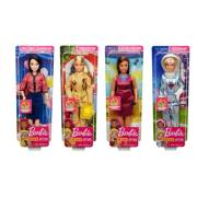 Mattel Barbie Kariyer Bebekleri Gfx23