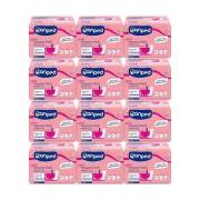 Canped Mesane Pedi Ultra Large Büyük 10 lu 12 adet