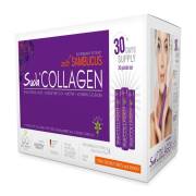 Suda Collagen Sambucus Vişne Flover 40ml x 30 Shot