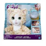 FR UYKUCU KEDİM CARA