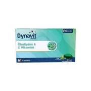 Dynavit Herbal Mentol & Okaliptus Pastil 16