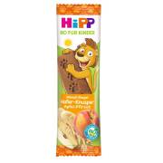 Hipp Organik Şeftalili Elmalı Meyve Barı 20 gr