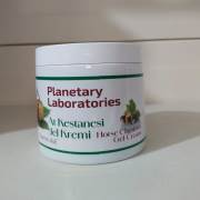 Planetary Laboratories At Kestanesi Jel Krem 500 ml