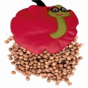 Sevi Bebe Kiraz Çekirdekli Minder - Kırmızı